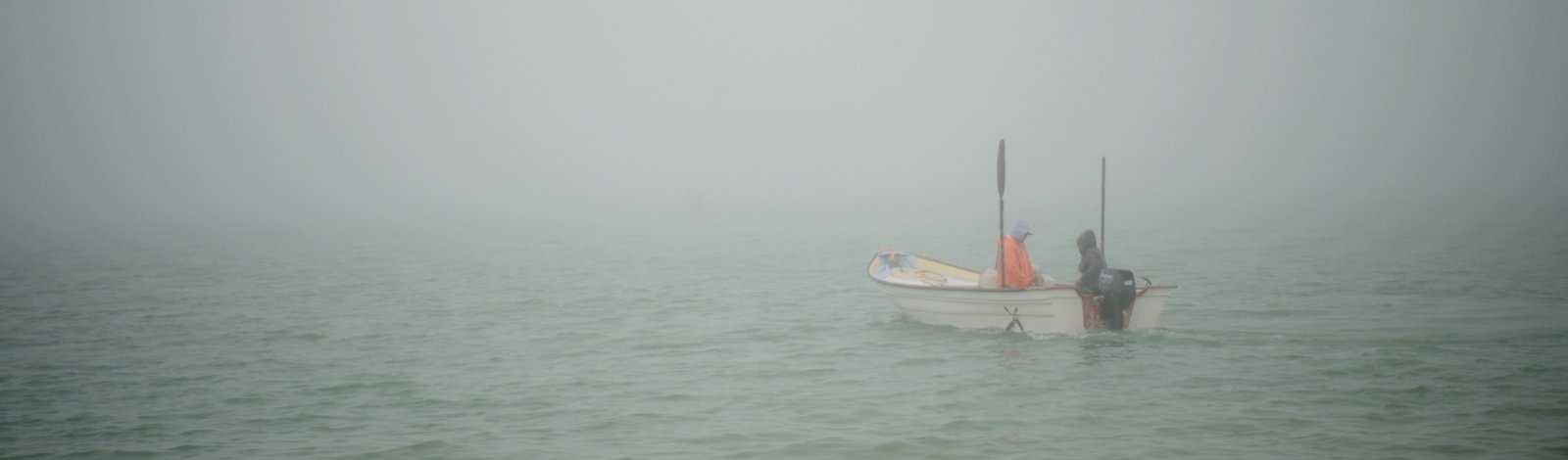 El llanto de las tortugas, seleccionados, good pitch, méxico, 2022
